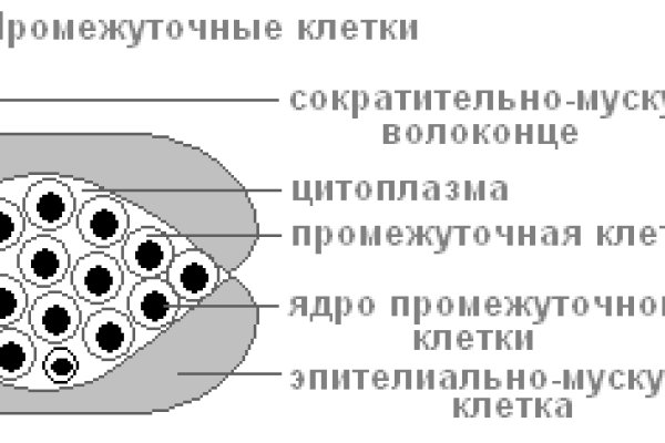 Кракен ссылка kraken