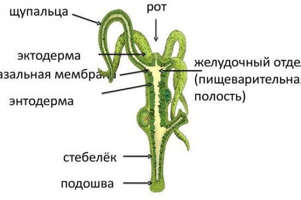 Ссылка кракена kraken clear com