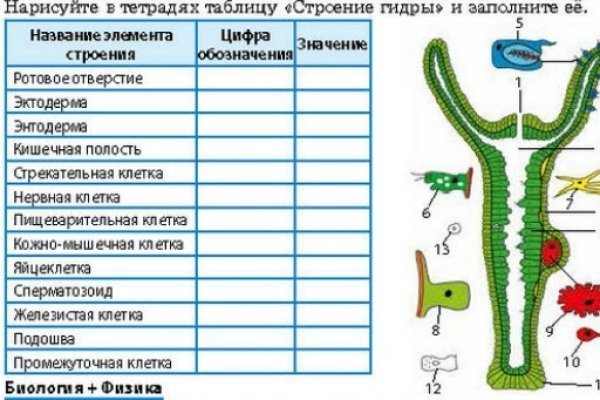 Кракен переходник ссылка